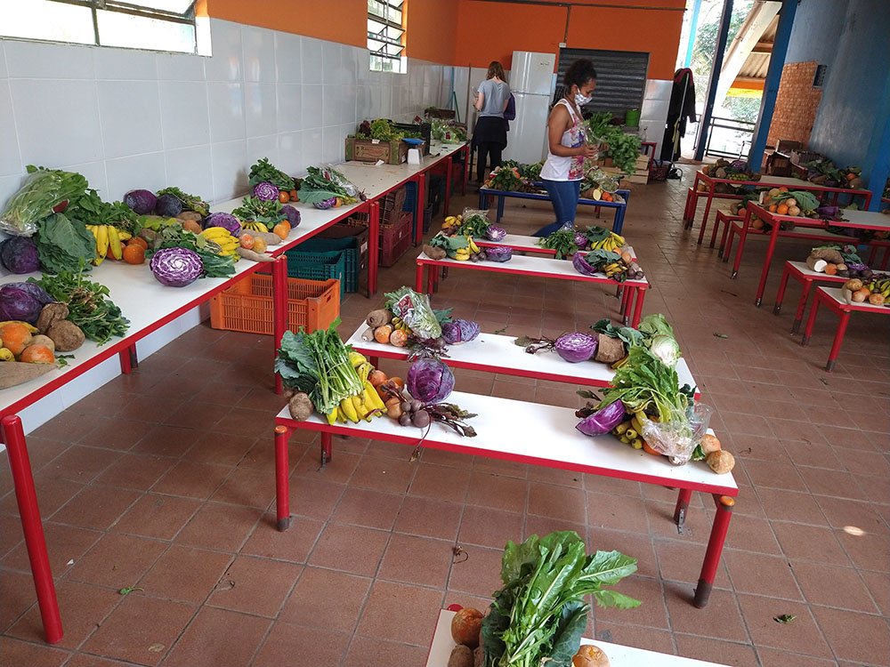 Coletivos se unem em campanha de combate à fome durante a pandemia De