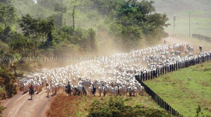 Fazenda à venda em São Félix do Xingu