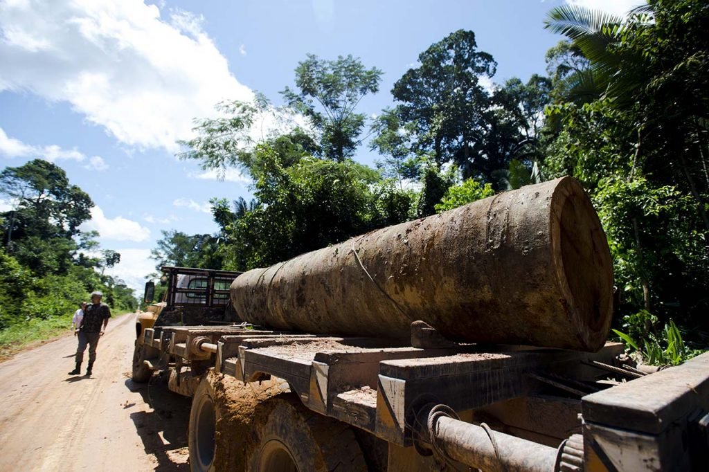 Madeira retirada de terra indígena em Colniza (Foto: Marcelo Camargo/Agência Brasil)