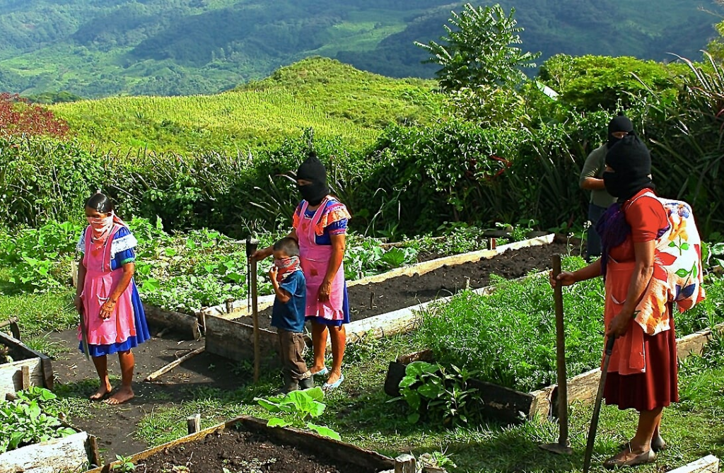 zapatistas03