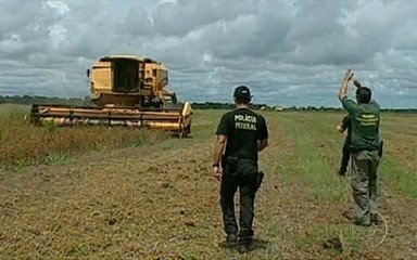 Apreensão de máquinas pelo Ibama, no MT. (Reprodução: Jornal da Globo)