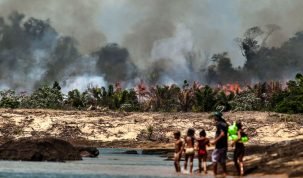 Uma das ilhas do Xingu, desmatada e queimada para o enchimento do lago de Belo Monte. Fotos de Lilo Clareto / El País
