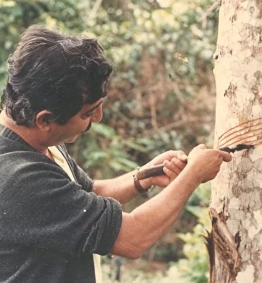 Empate dos Povos da Amazônia - Uma lição de Chico Mendes 