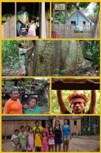 EMPATE 2020 - Povos da floresta na luta contra a Covid19 