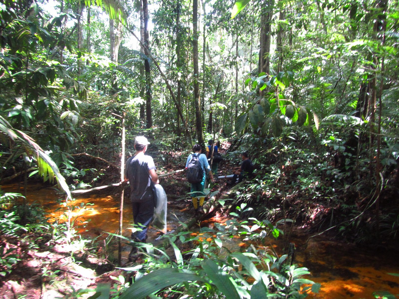 Sobrevivência na Amazônia