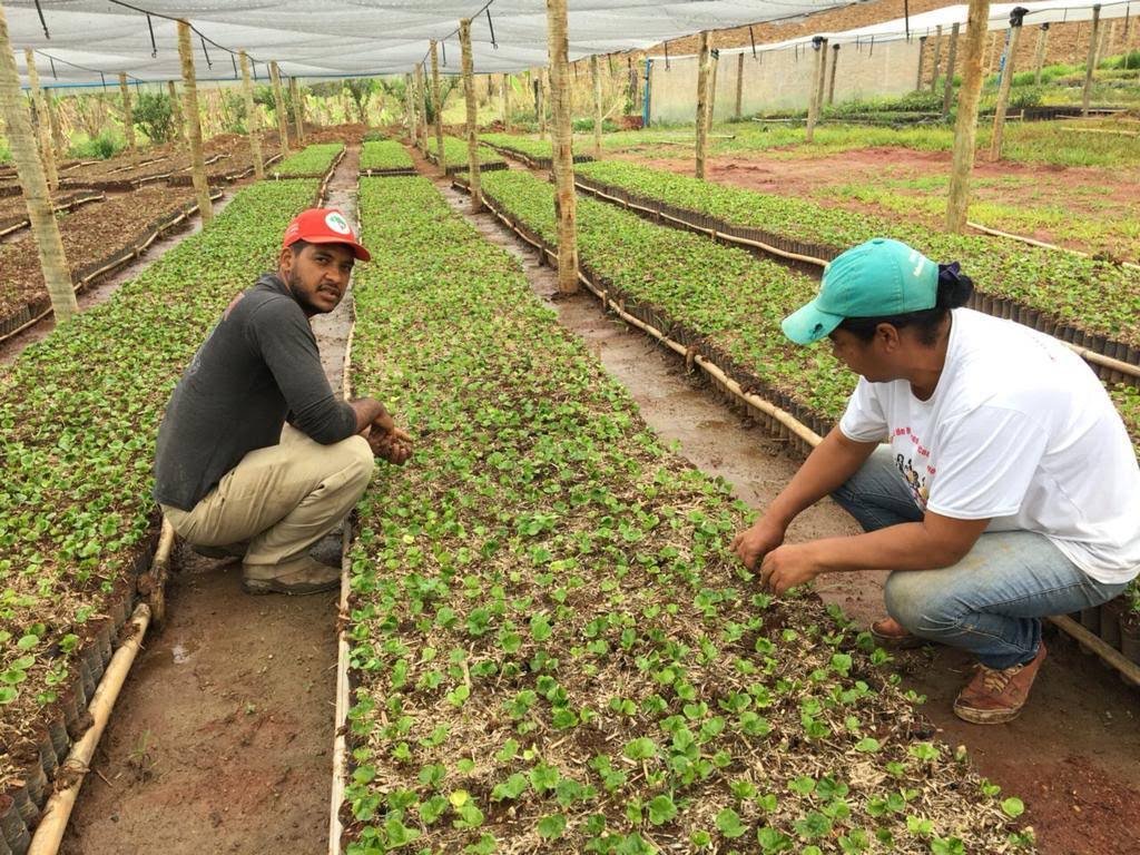 Agricultura caminha para ficar livre de resíduos químicos - Agropecuário -  Estado de Minas