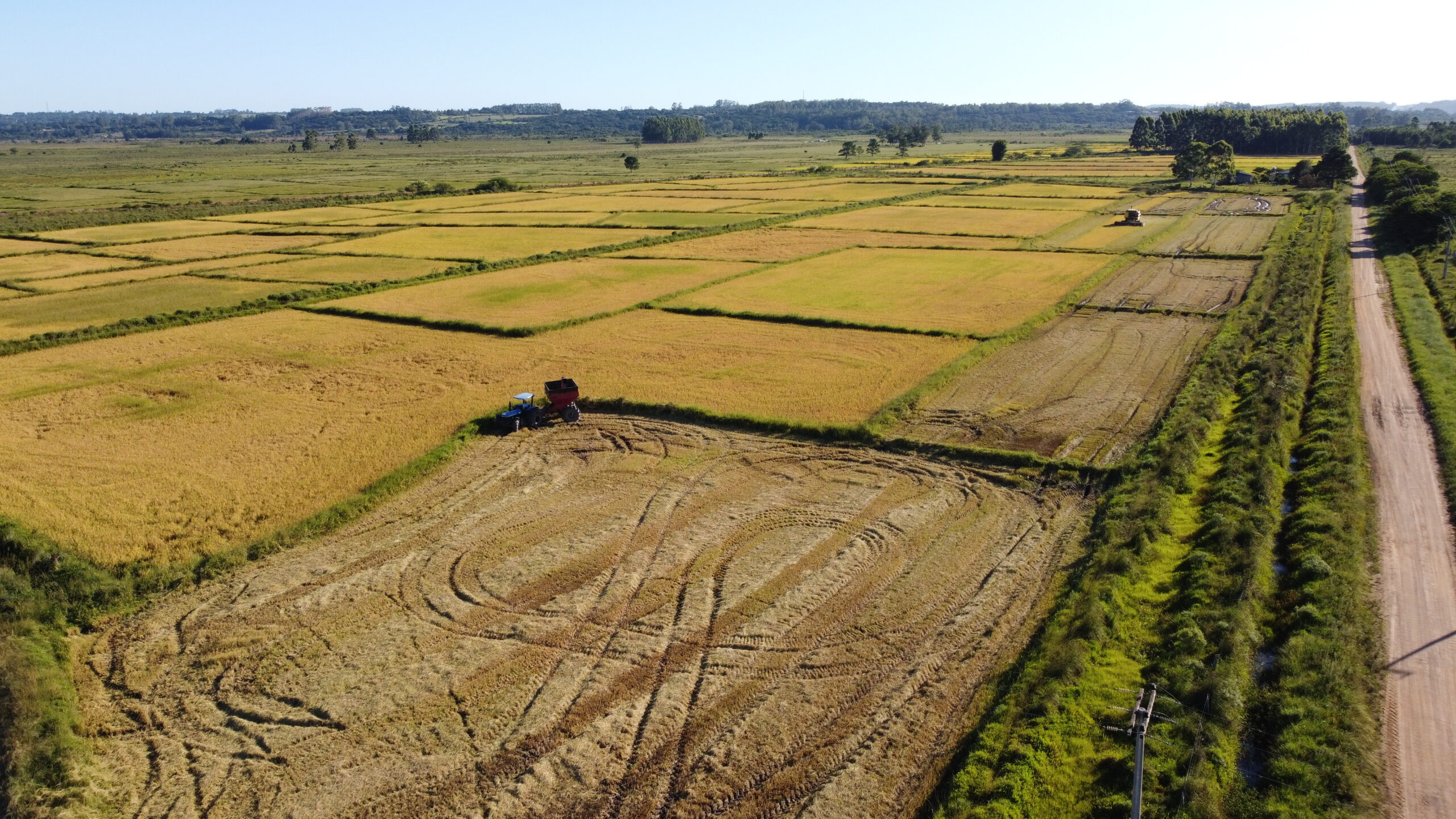Agritalks: Inovações para a Sustentabilidade no Setor Agropecuário:  Experiências de Brasil e Portugal - 8 de setembro - Lisboa - Agroportal